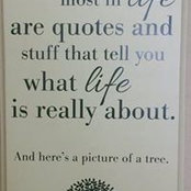 Teresa Parrish's photo