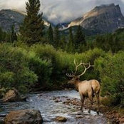 Tom Kakuske's photo