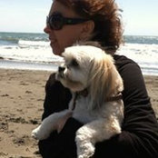 Laura Breisky's photo