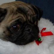 Vanessa Marshall's photo