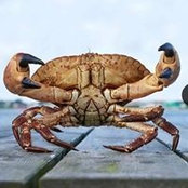 Janet Perreault's photo