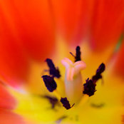 Foto von Elmira Hunt