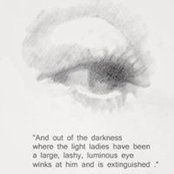 Kris Casey's photo