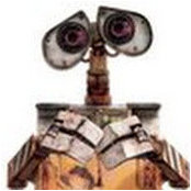 Amy Patten's photo