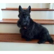Maggie May's photo