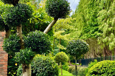 This is an example of a garden in Berkshire.