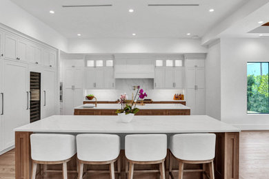 Kitchen - kitchen idea in Miami