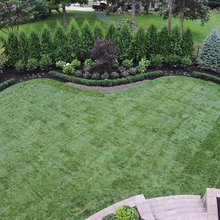 Backyard landscaping