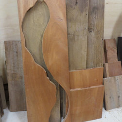Creating A DragonFly: Wing Negative - Products