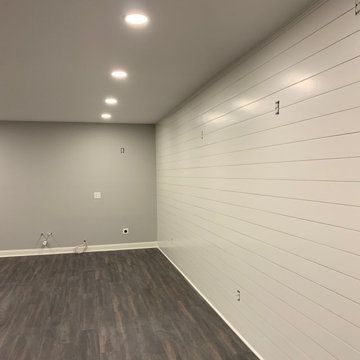 Basement Transformation Odyssey
