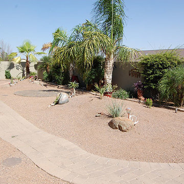 Desert Landscaping