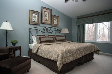 Inspiration for a transitional bedroom remodel in Detroit