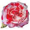 Rock and Roll Rose 3D Pillow