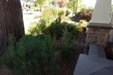 Photo of a modern landscaping in Other.