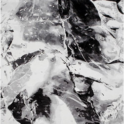 Ray Ice Mono - Rugs