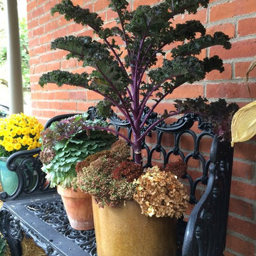 Seasonal Decorations