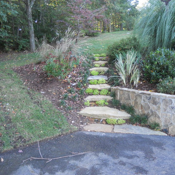 Natural Stone Paths and steps