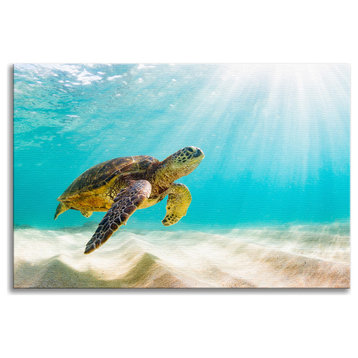 Hawaiian Green Sea Turtle Sea Animal Wildlife Photograph Canvas Wall Art Print, 18" X 24"