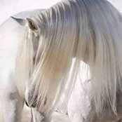 Marcy Igersheim's photo