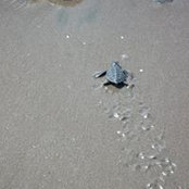 Jeffery Kong's photo