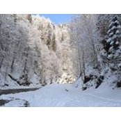 Lori Dorrel's photo