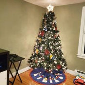 Jackie Kane-Perez's photo