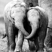 Veronica Anderson's photo