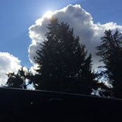Sharon Gilligan's photo
