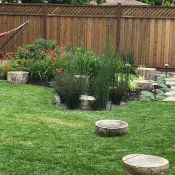 San Jose Backyard