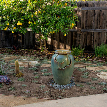 Newly Planted Dymondia, Succulents and Water Feature