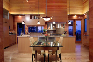 Example of a large minimalist single-wall kitchen design in San Diego