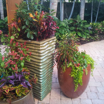 Colorful Containers
