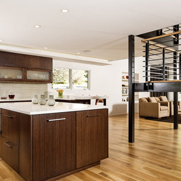 Basalt Contemporary - Remodel