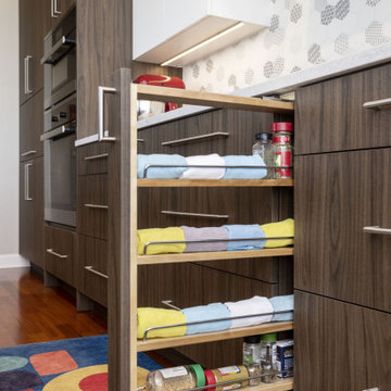 South Loop Highrise Kitchen Renovation