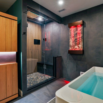 Zen Spa, Bar and Secret Room Basement /Aldie, VA