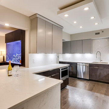 Contemporary Kitchen & Aquarium Design Falls Church, VA