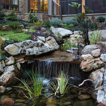 Piney Knoll Paradise