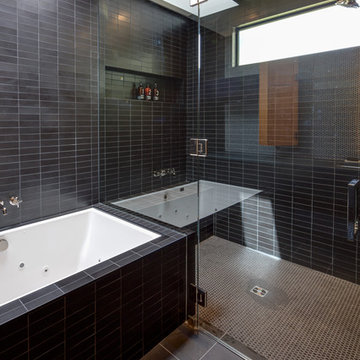 Wallace Park Modern Whole House Remodel