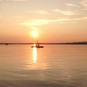Katie Bird's photo
