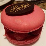 Mandy D'Arcy-Evans's photo