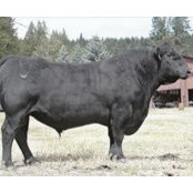 Foto von Jaynbee Ranch