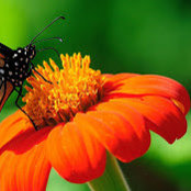 peggy zhang's photo