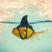 Sarah Rahbar-Smadja's photo