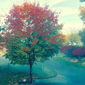 Amy Perkins Finch's photo