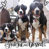 Chrissy RussoWaller's photo