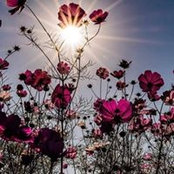Carrie Leathers's photo