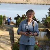Cindy Lahr's photo