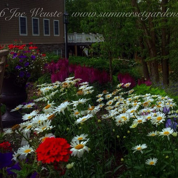 Perennial flower garden
