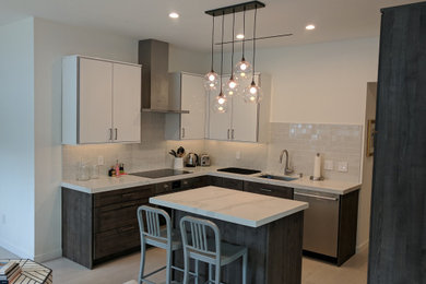 Kitchen - contemporary kitchen idea in Los Angeles