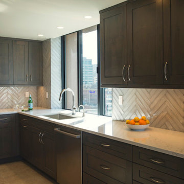 Downtown Seattle Penthouse Kitchen Remodel